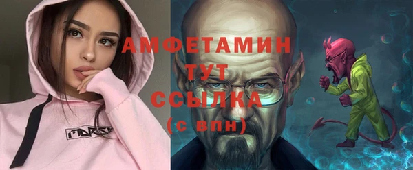 ECSTASY Горняк
