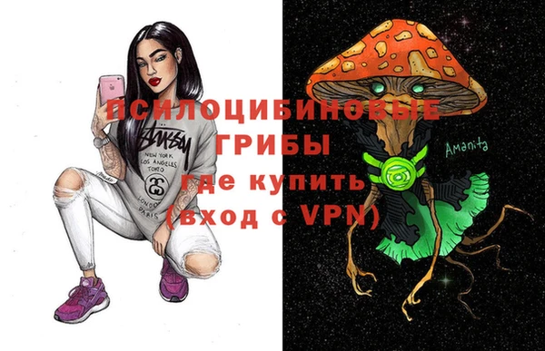 а пвп мука Новозыбков