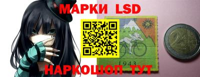 шишки Заводоуковск