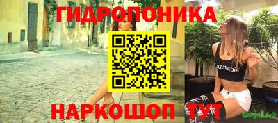 шишки Волгодонск