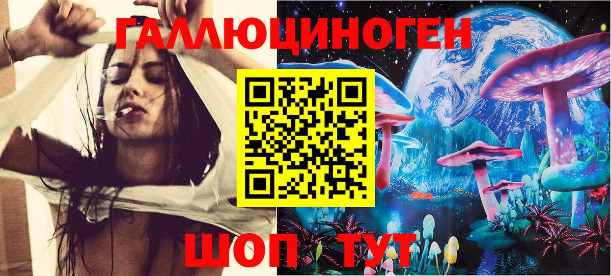 Кизилюрт  Галлюциногенные грибы Psilocybe  Галлюциногенные грибы GOLDEN TEACHER  Вход с VPN 