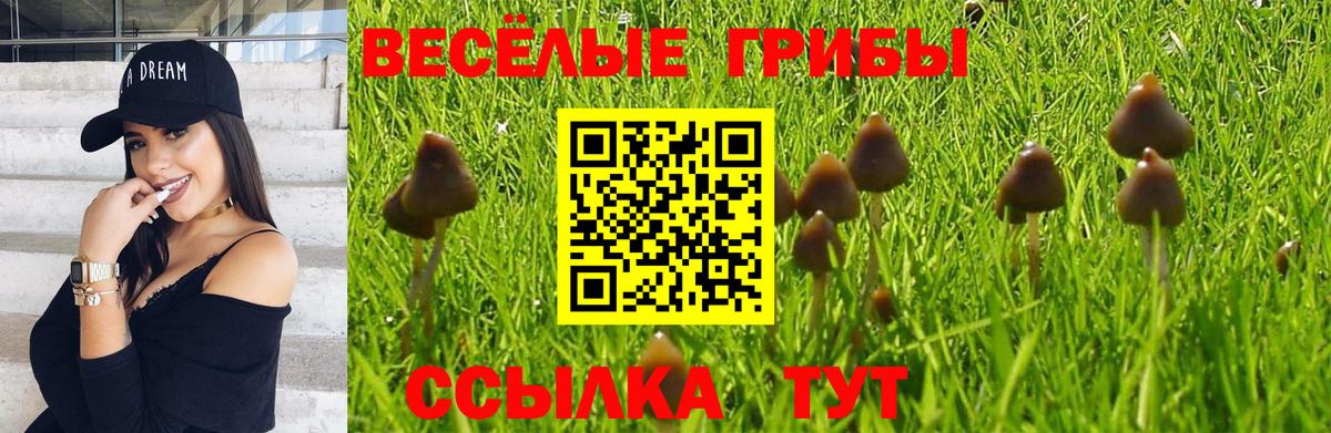 Галлюциногенные грибы мухоморы Кизилюрт