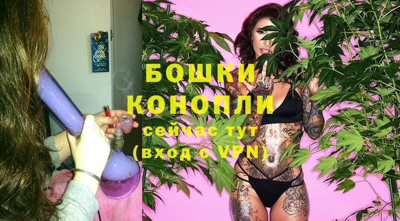 Конопля SATIVA & INDICA  Кизилюрт 